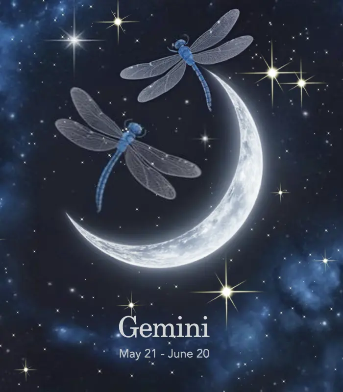 《百億富爸爸》星座解密 — 雙子座